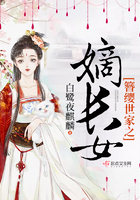 无需播放器即可观看