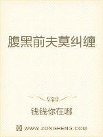 空战英豪游戏