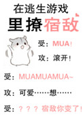为妃作歹