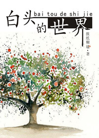 教授不可以小说
