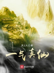 再婚进行时