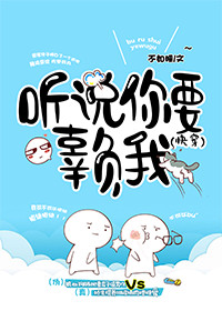仙鹤神针小说