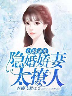 管家婆牛魔王