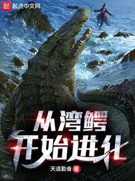 翡翠波斯猫8k经典