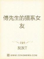 不见当年老司机