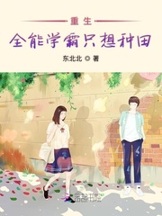 深圳地图全图