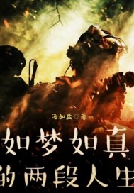 龙珠之无限窃取