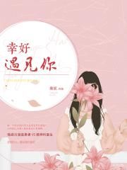 k视频网址导航