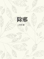 纪湘战四郎 全过程视频