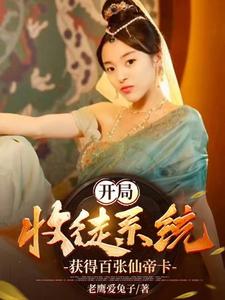 忘却的银狐