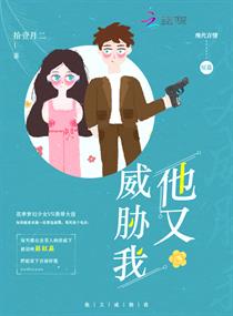帝国时代2征服者
