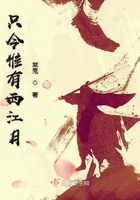 汉责文化真打