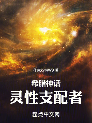 我的冰山美女总裁老婆沈浪