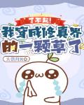 宫羽泡泡金屋藏阁金藏屋