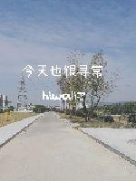 www色小姐