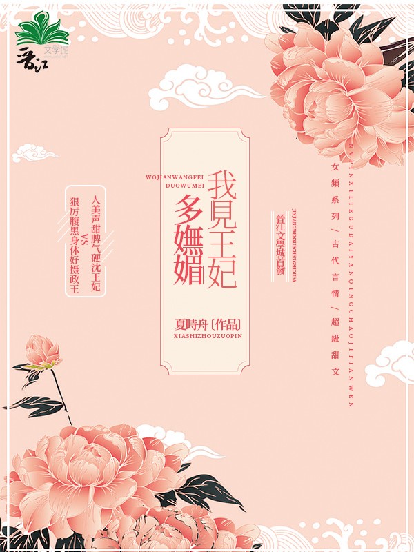 叶枫小说