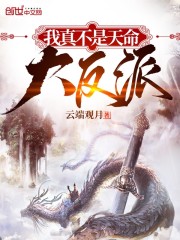陈说美食个人视频