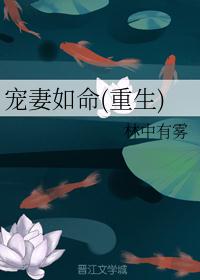 又黄又爽又色的性视频