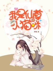 银帕车图
