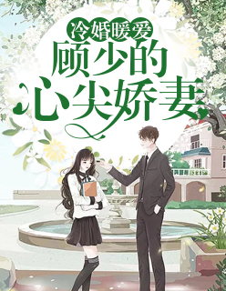 综穿红楼