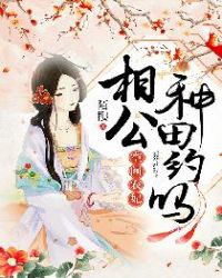 厉总离婚请别怂免费全集