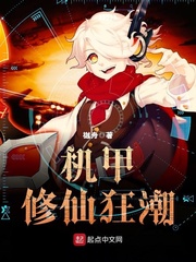宁化府