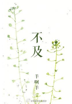 b哥动漫