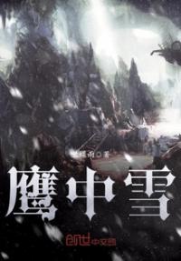 极限挑战之风流系统