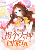 九龙宠凤