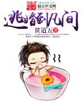 光棍天堂免费观看在线观看动漫
