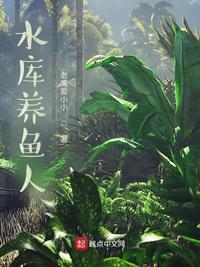 天上人间花魁