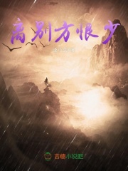 校花的贴身高手冷轩