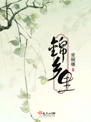 狐狸的夏天免费观看电视剧完整版