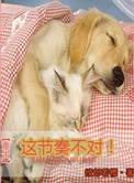 金庸群侠传x
