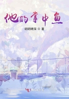 江西卫视在线直播