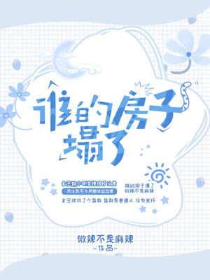 李小璐小说