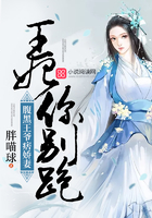 极品后宫