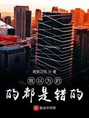 三相插座