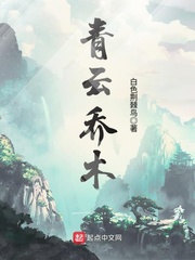 叶佳期乔斯年小说