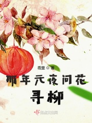 91视频日本