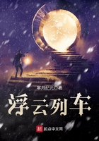 夺帅2