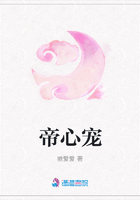 小狐tv电视剧