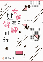 仓木麻衣中文版