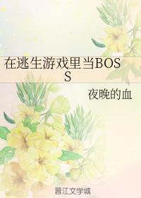 dvdporin