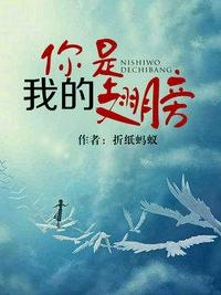 满江红2024完整免费观看