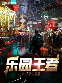 清穿之第一侧福晋小说