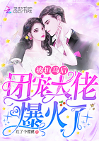 少林寺传奇之大漠英豪