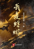 使命2沉默电视剧完整版
