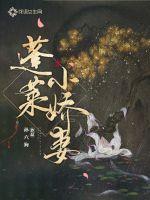一上一下不停运动免费