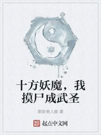 欧洲VODAFONEWIFI一区
